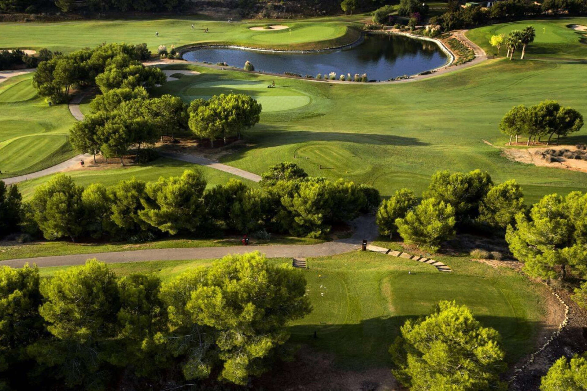 Obra nueva - Villa independiente - Pilar de la Horadada - Lo Romero Golf