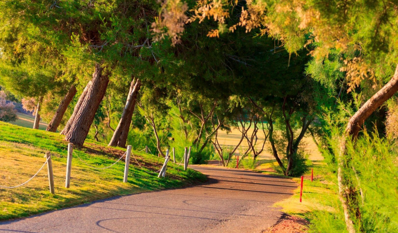 Obra nueva - Villa independiente - Pilar de la Horadada - Lo Romero Golf