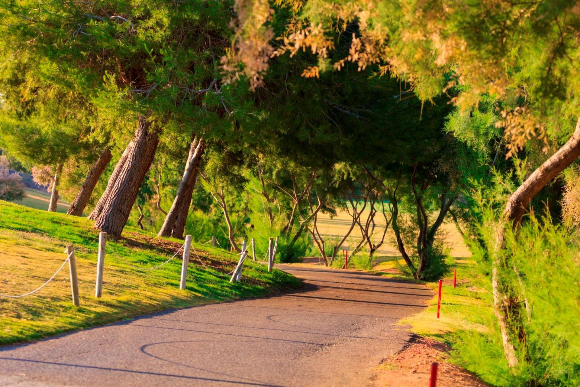 Obra nueva - Villa independiente - Pilar de la Horadada - Lo Romero Golf