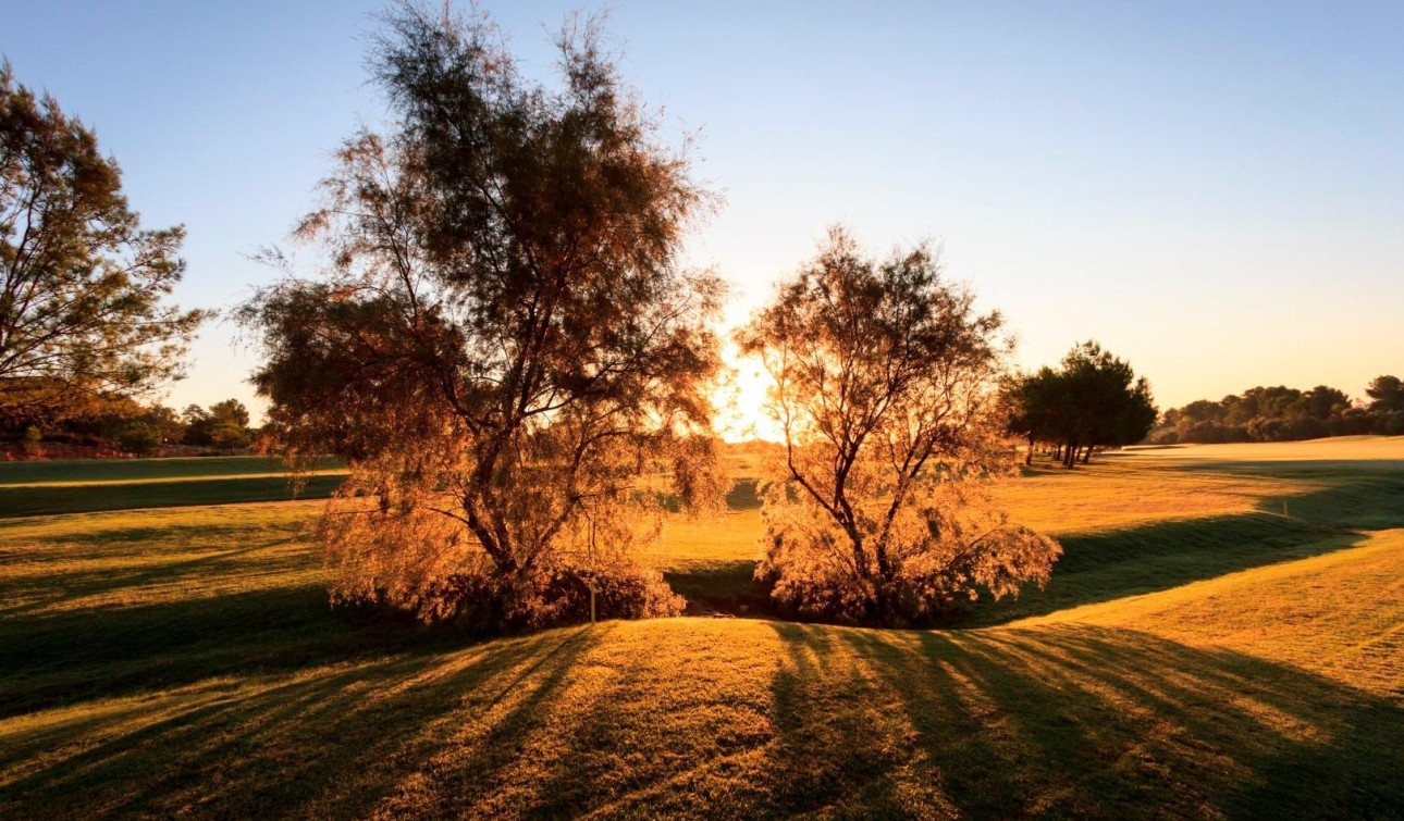 Obra nueva - Villa independiente - Pilar de la Horadada - Lo Romero Golf