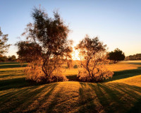 Obra nueva - Villa independiente - Pilar de la Horadada - Lo Romero Golf