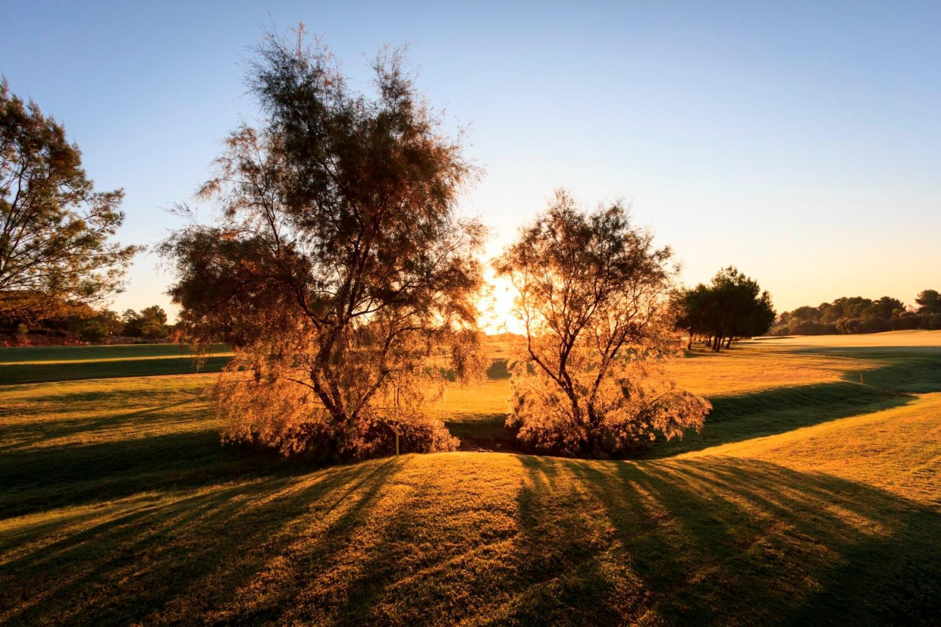 Obra nueva - Villa independiente - Pilar de la Horadada - Lo Romero Golf