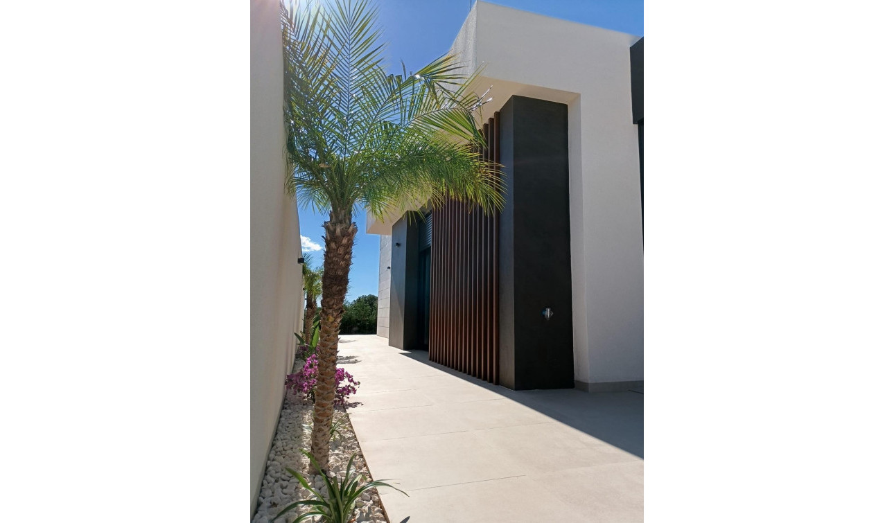 Obra nueva - Villa independiente - Pilar de la Horadada - Roda Golf