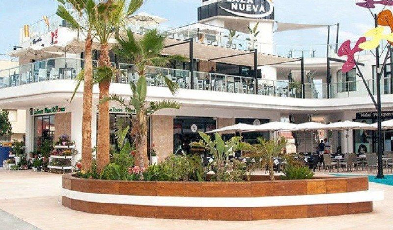 Obra nueva - Villa independiente - Pilar de la Horadada