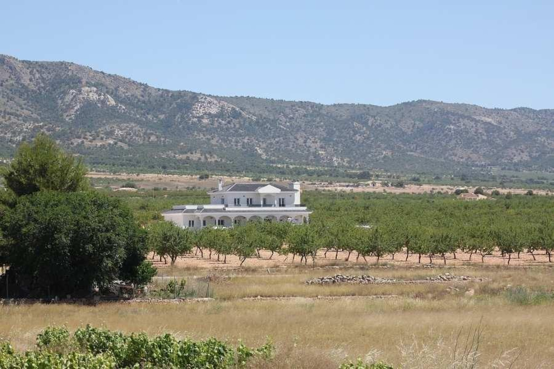 Obra nueva - Villa independiente - Pinoso - Camino Del Prado