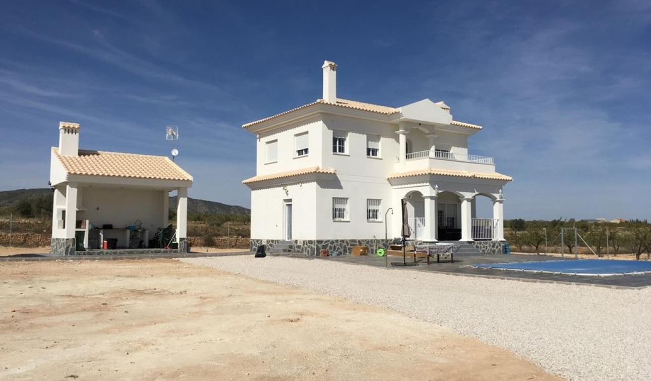 Obra nueva - Villa independiente - Pinoso - Camino Del Prado