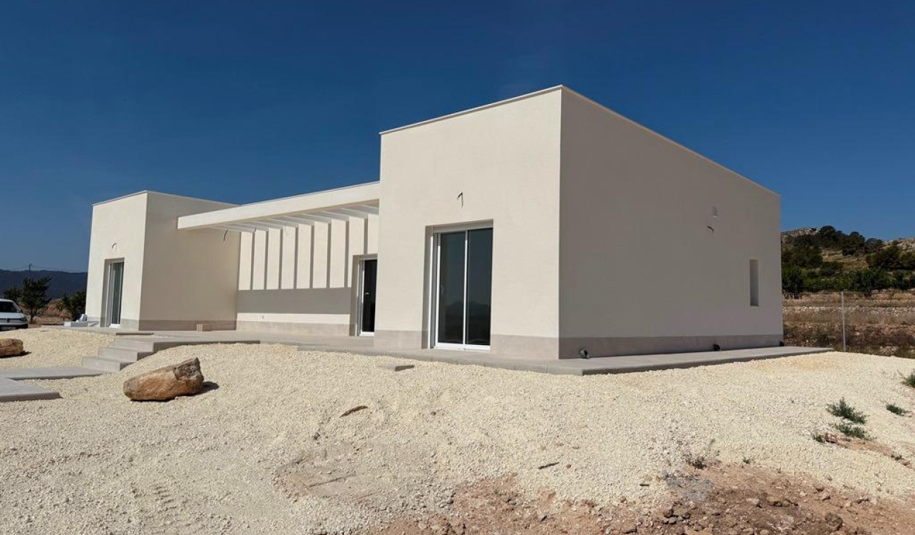 Obra nueva - Villa independiente - Pinoso - Camino Del Prado