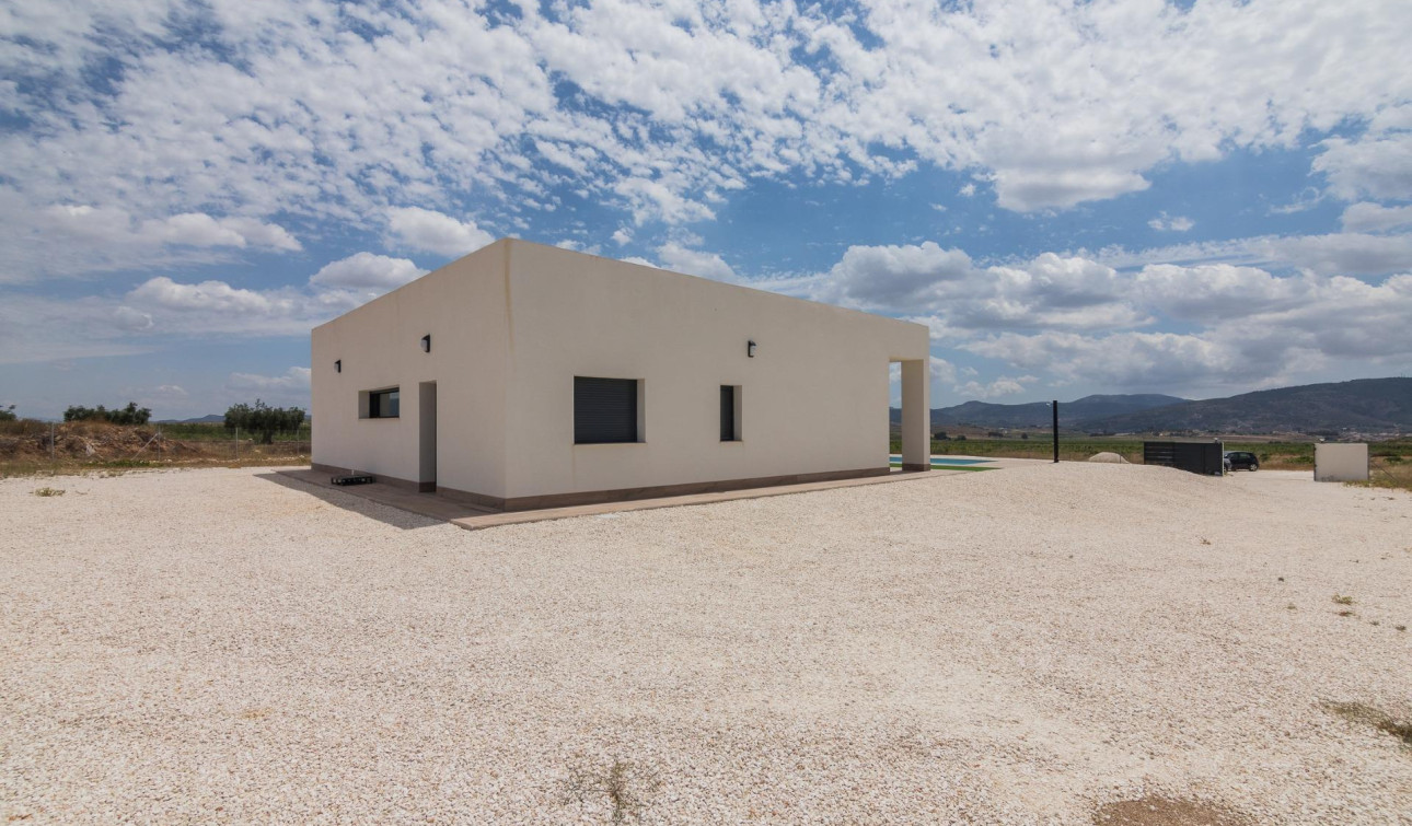 Obra nueva - Villa independiente - Pinoso - Campo