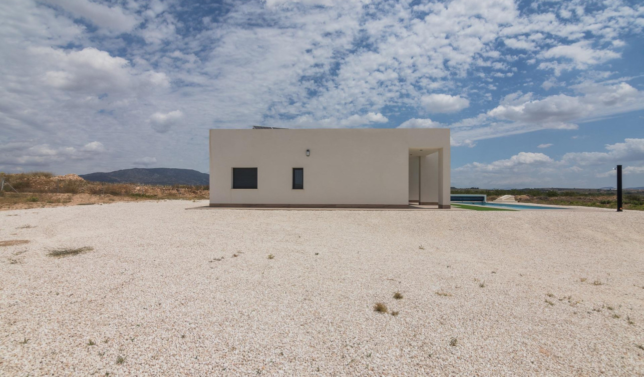 Obra nueva - Villa independiente - Pinoso - Campo