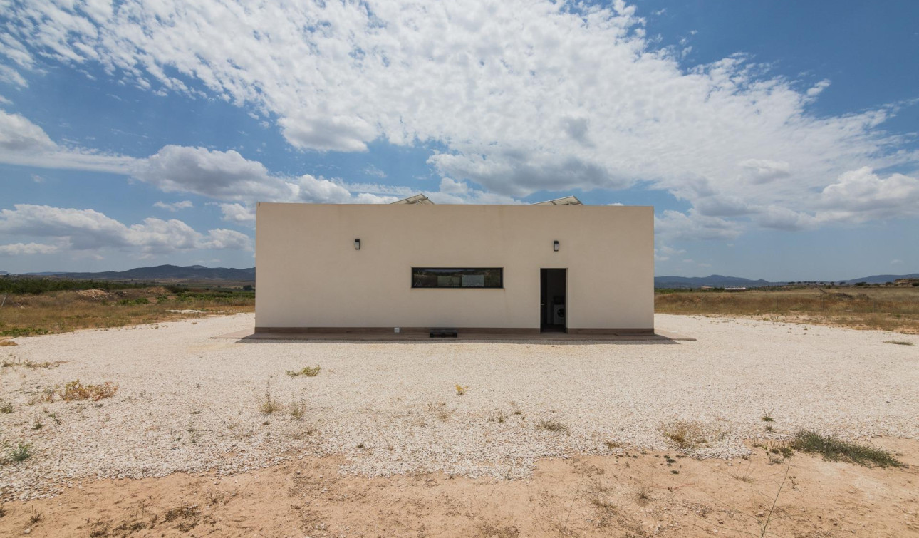 Obra nueva - Villa independiente - Pinoso - Campo