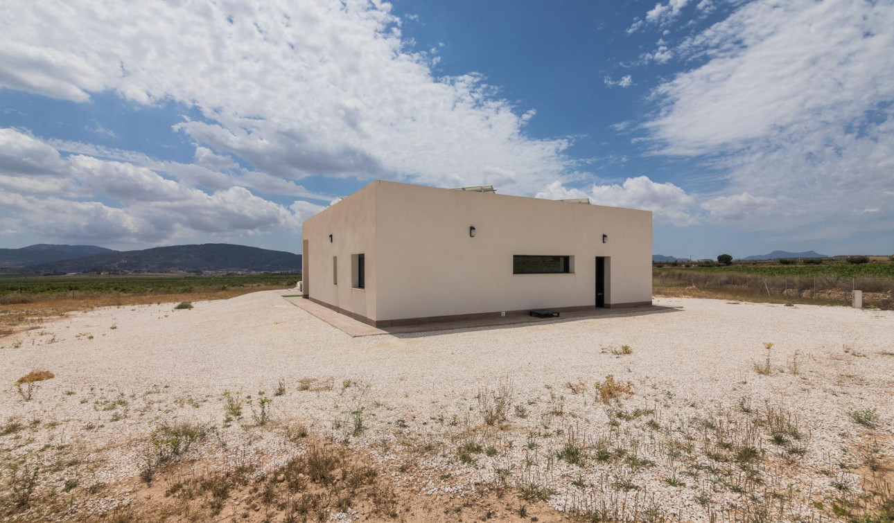 Obra nueva - Villa independiente - Pinoso - Campo