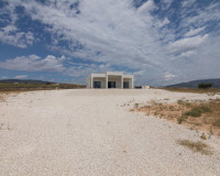 Obra nueva - Villa independiente - Pinoso - Campo