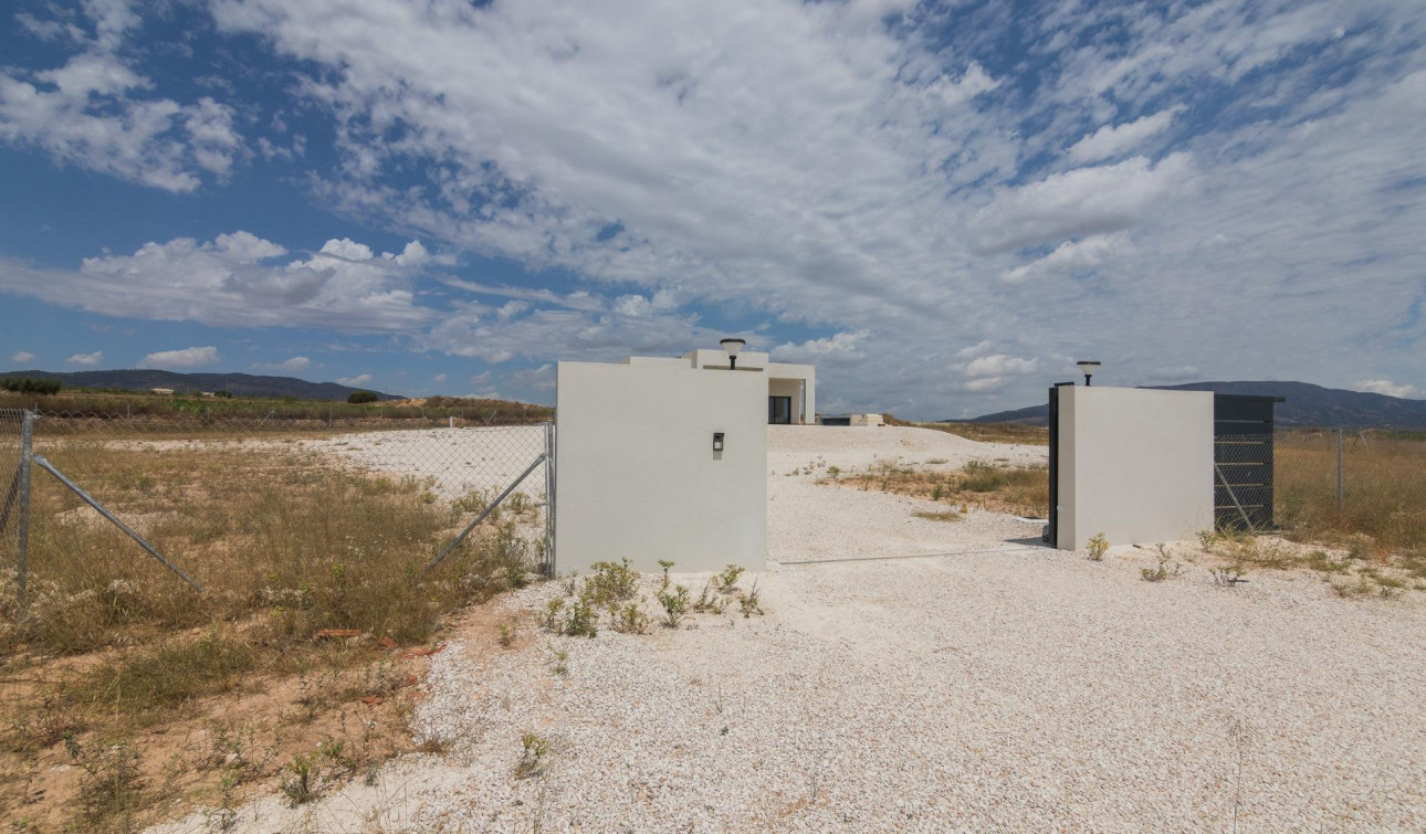 Obra nueva - Villa independiente - Pinoso - Campo