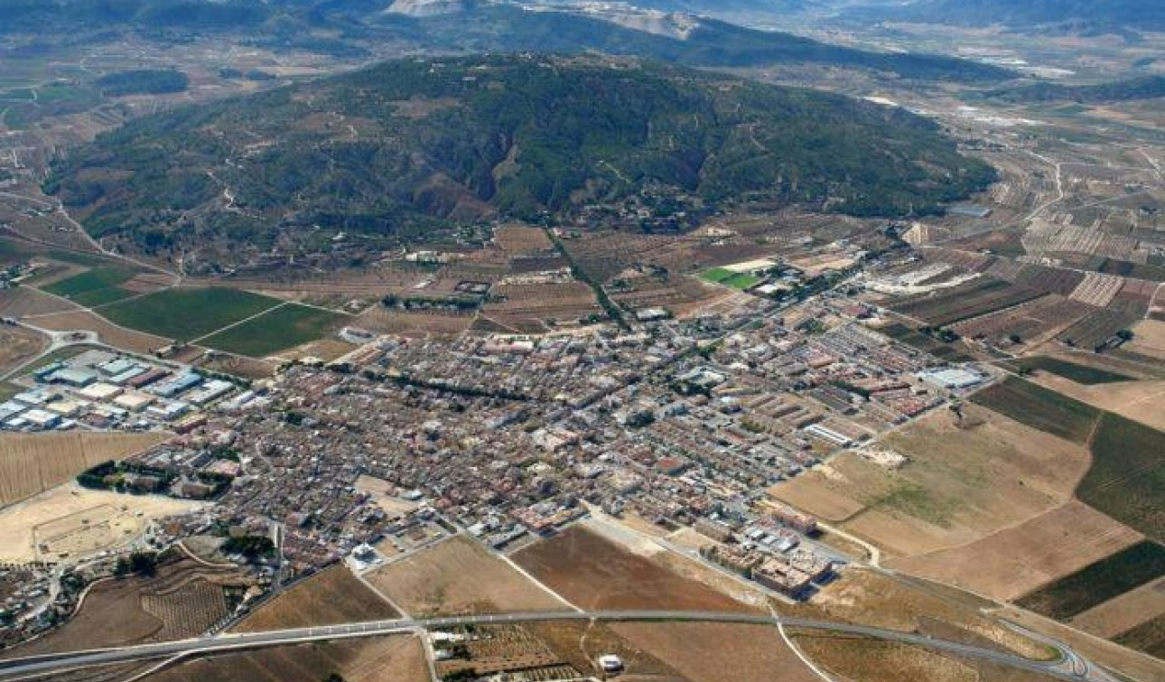 Obra nueva - Villa independiente - Pinoso - Campo