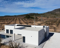 Obra nueva - Villa independiente - Pinoso - Campo