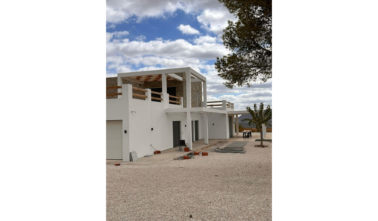 Obra nueva - Villa independiente - Pinoso - Casas Pastor