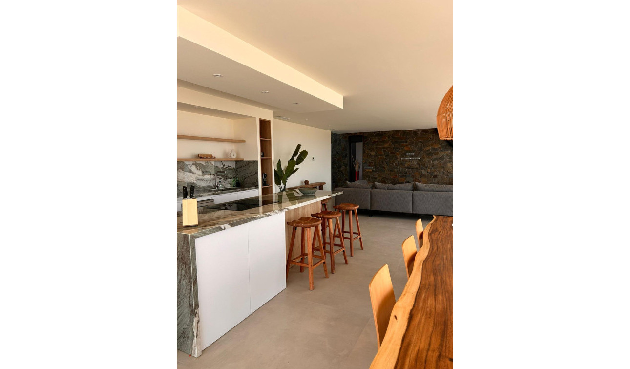 Obra nueva - Villa independiente - Pinoso - Casas Pastor