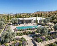 Obra nueva - Villa independiente - Pinoso - Casas Pastor
