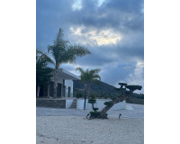 Obra nueva - Villa independiente - Pinoso - Casas Pastor