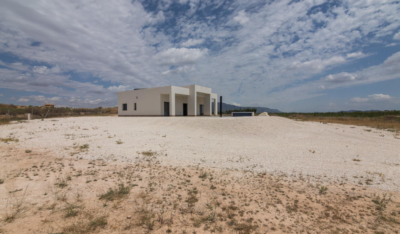 Obra nueva - Villa independiente - Pinoso - Lel