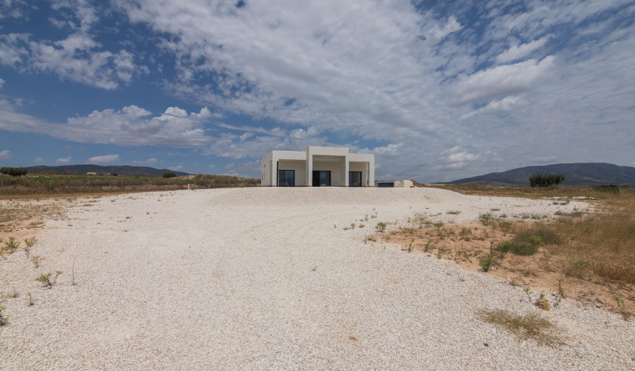 Obra nueva - Villa independiente - Pinoso - Lel