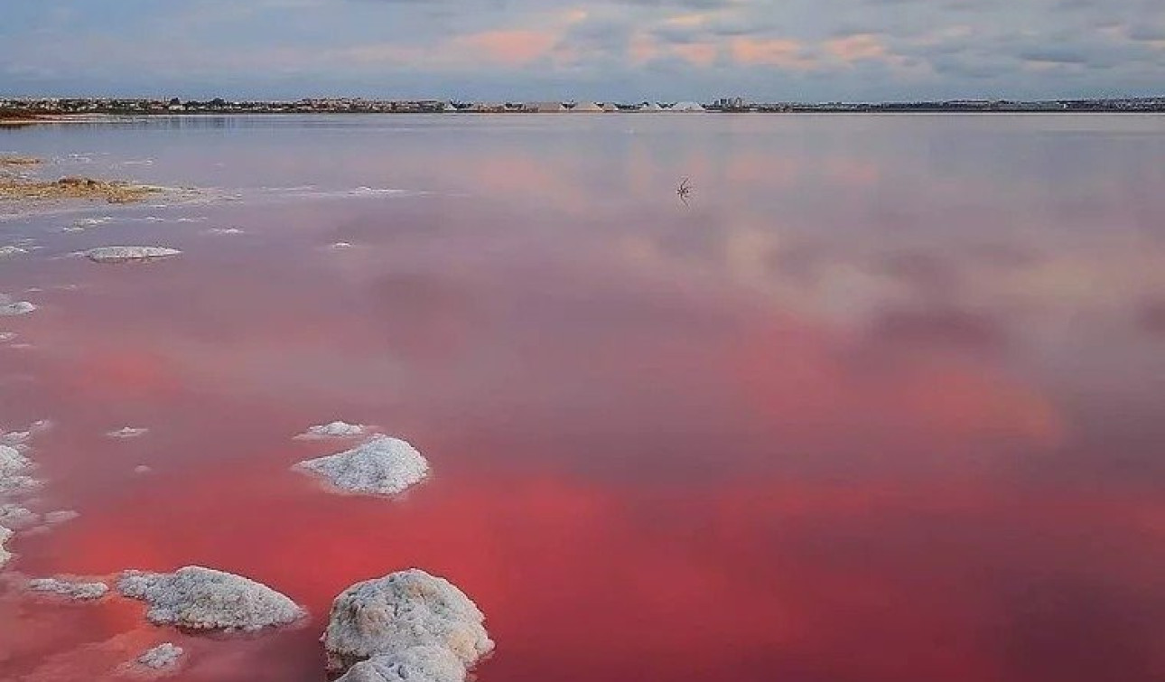 Obra nueva - Villa independiente - Torrevieja - Lago Jardín II