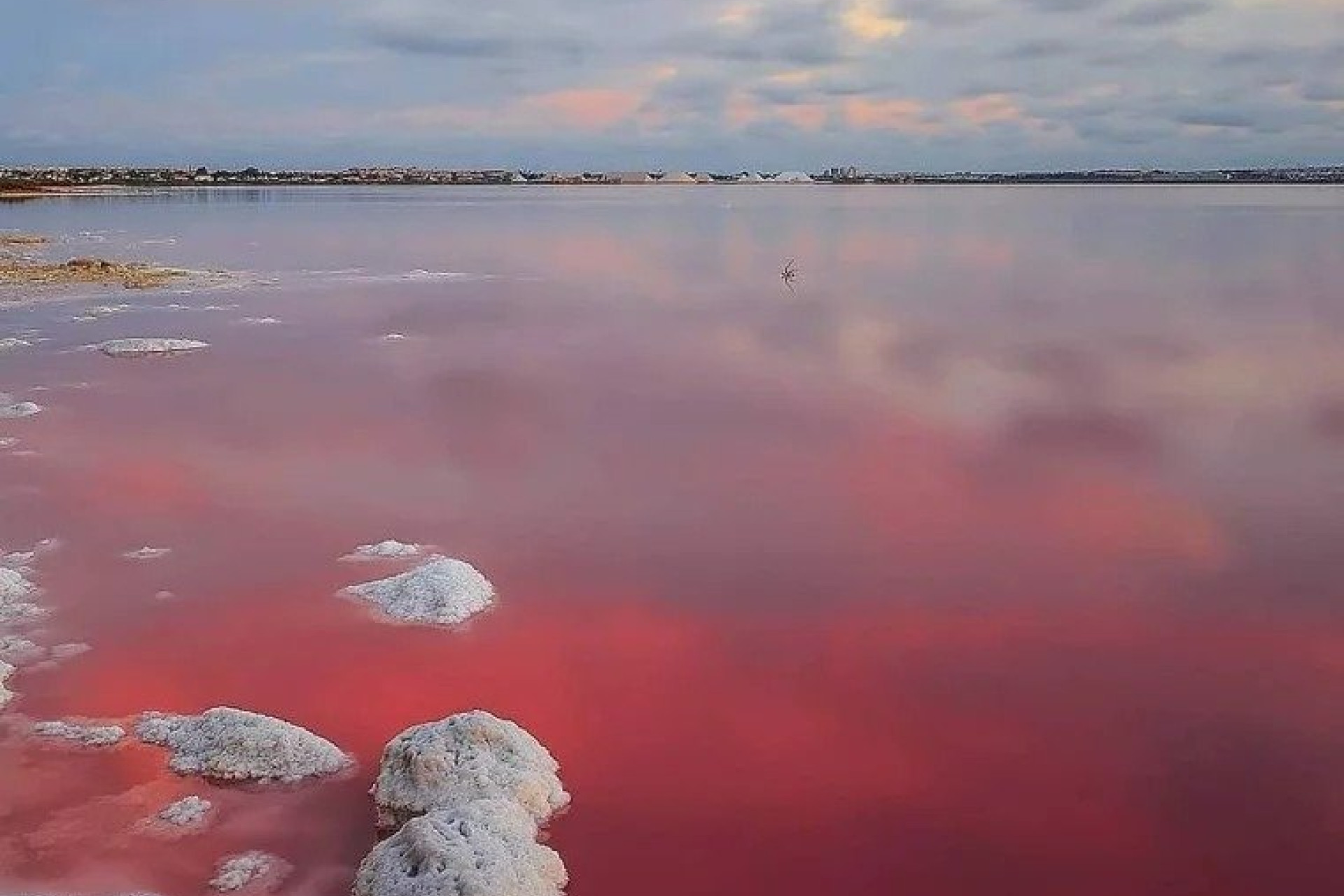 Obra nueva - Villa independiente - Torrevieja - Lago Jardín II