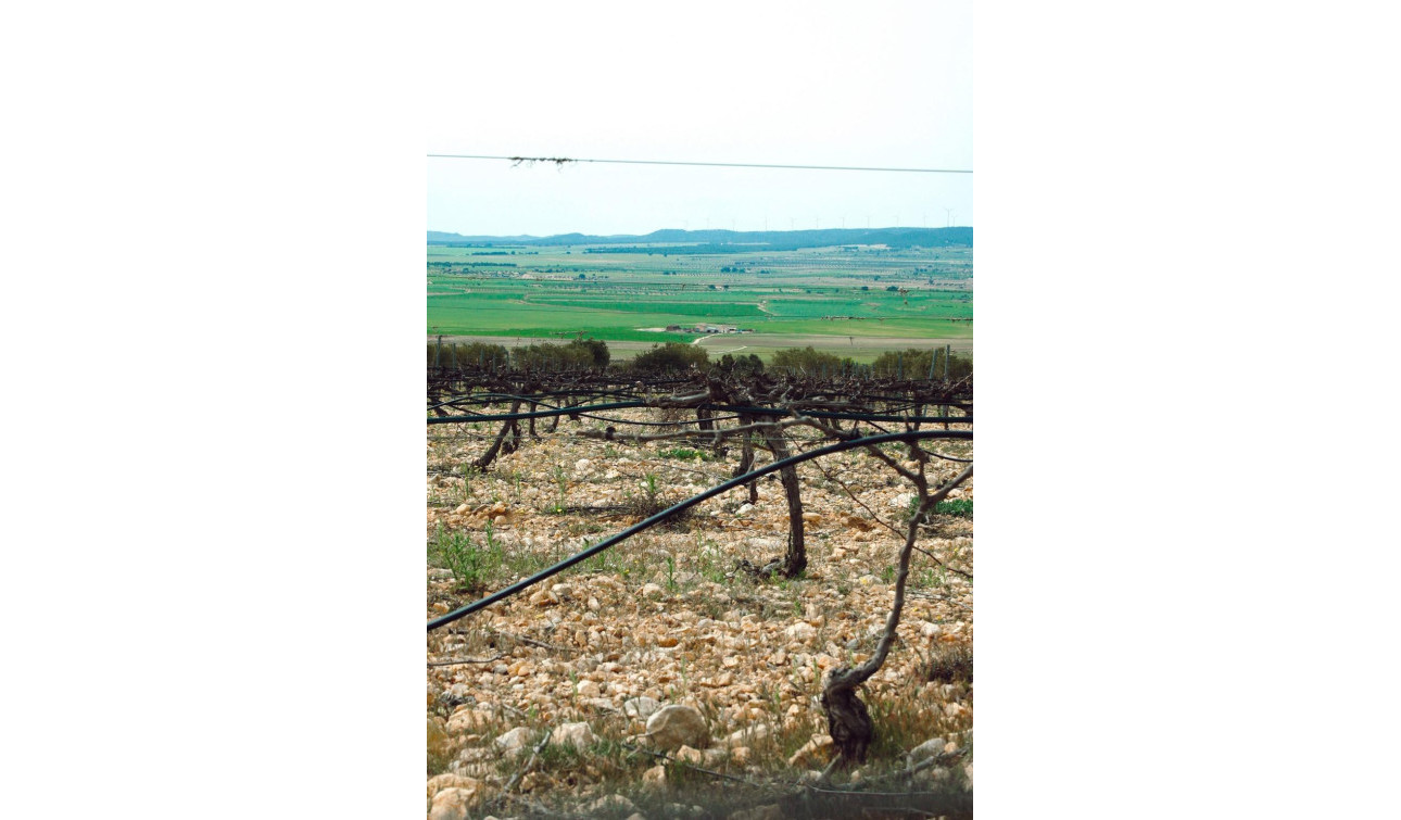 Obra nueva - Villa independiente - Yecla