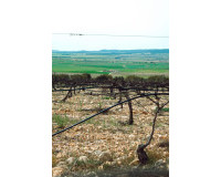 Obra nueva - Villa independiente - Yecla