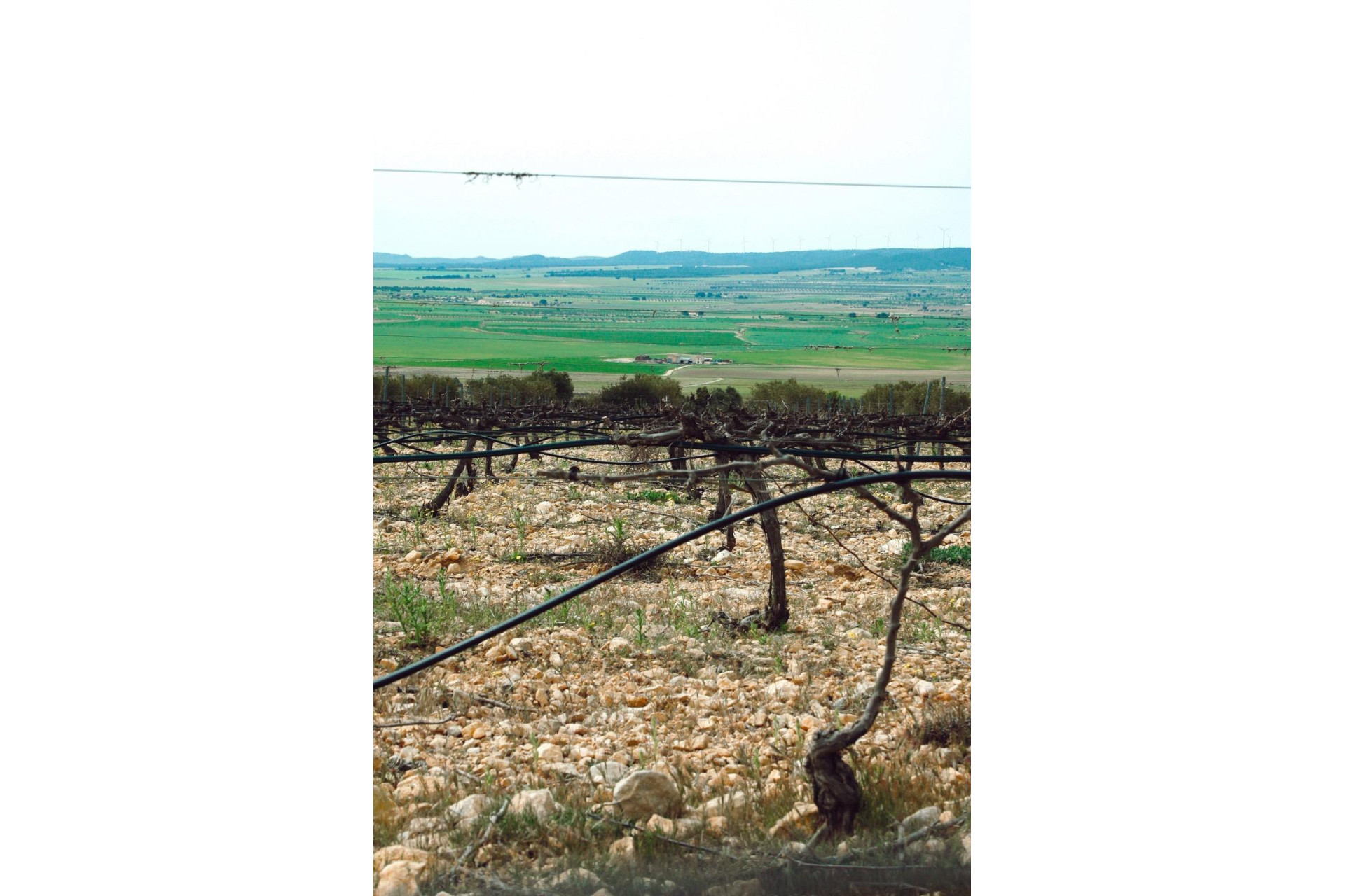 Obra nueva - Villa independiente - Yecla