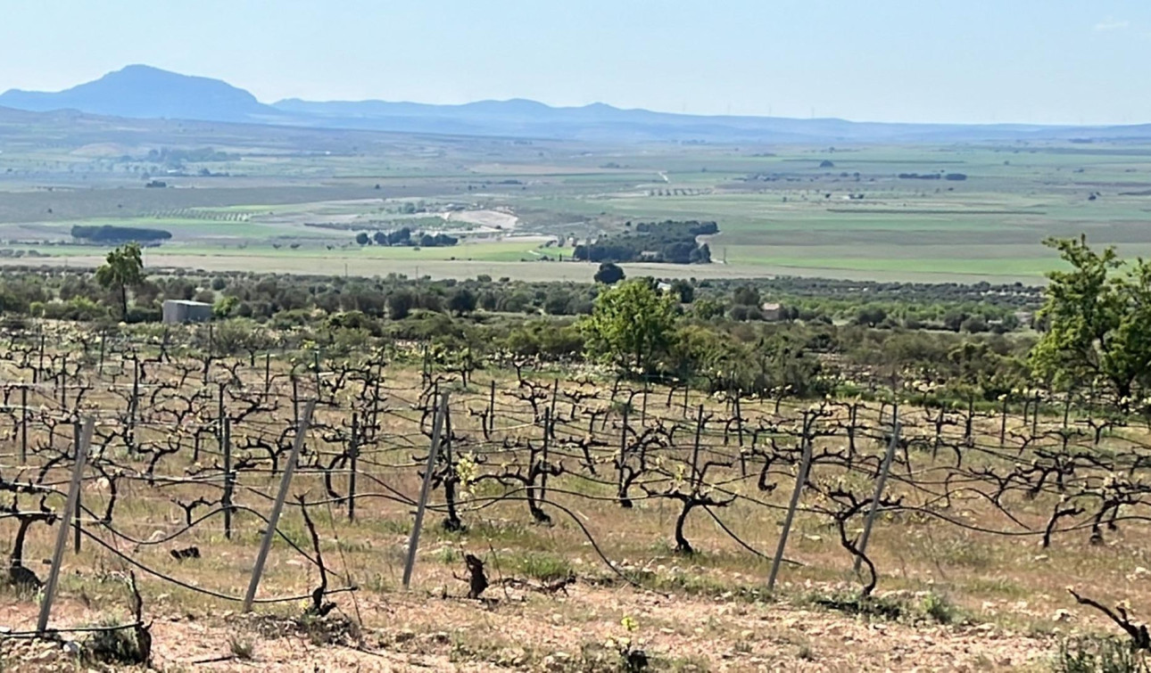 Obra nueva - Villa independiente - Yecla