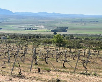 Obra nueva - Villa independiente - Yecla