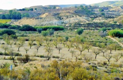 Parcela / Terreno - Reventa - Torremendo - Torremendo