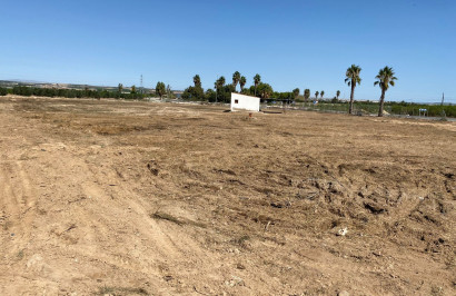 Parcelle / Terrain - Revente - San Miguel de Salinas - San Miguel Salinas