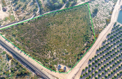 Plot / Land - Resale - Crevillente - Comunidad valenciana