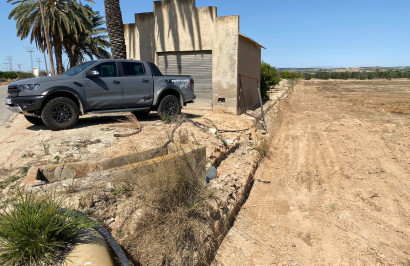 Plot / Land - Resale - San Miguel de Salinas - San Miguel Salinas