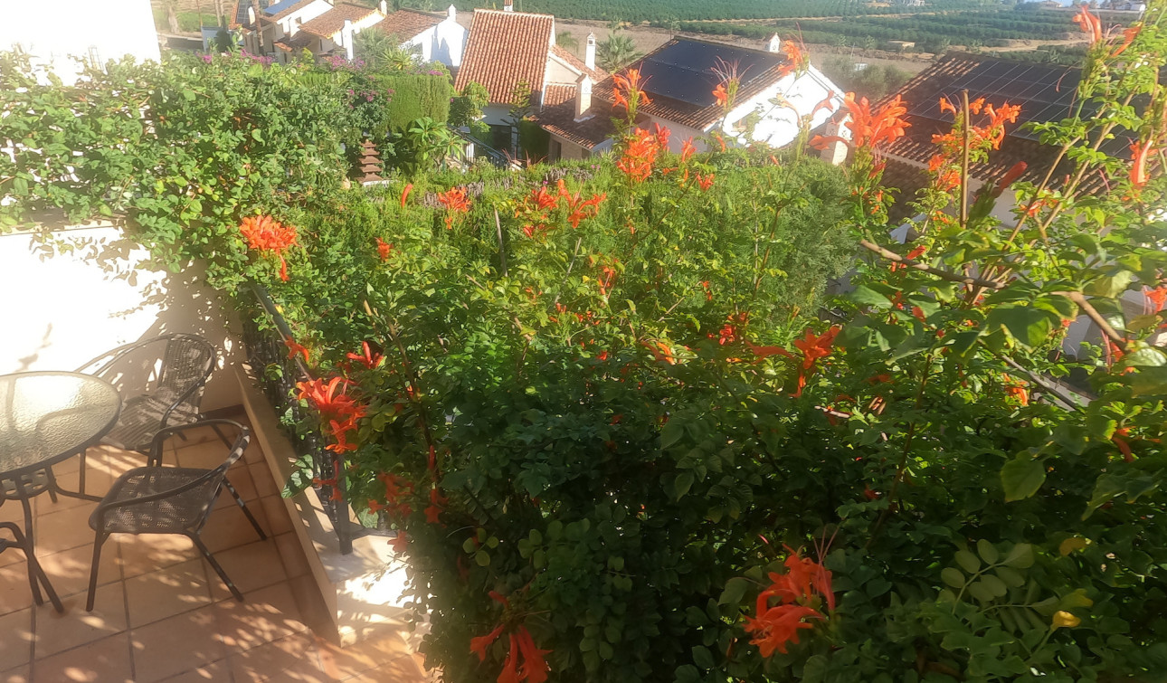 Resale - Apartment / Flat - Algorfa - La Finca Golf