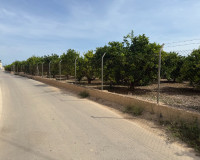 Resale - Apartment / Flat - Benejúzar - Inland