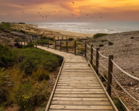 Resale - Apartment / Flat - Cartagena - Playa Honda