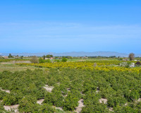 Resale - Apartment / Flat - Daya Nueva - Costa Blanca South