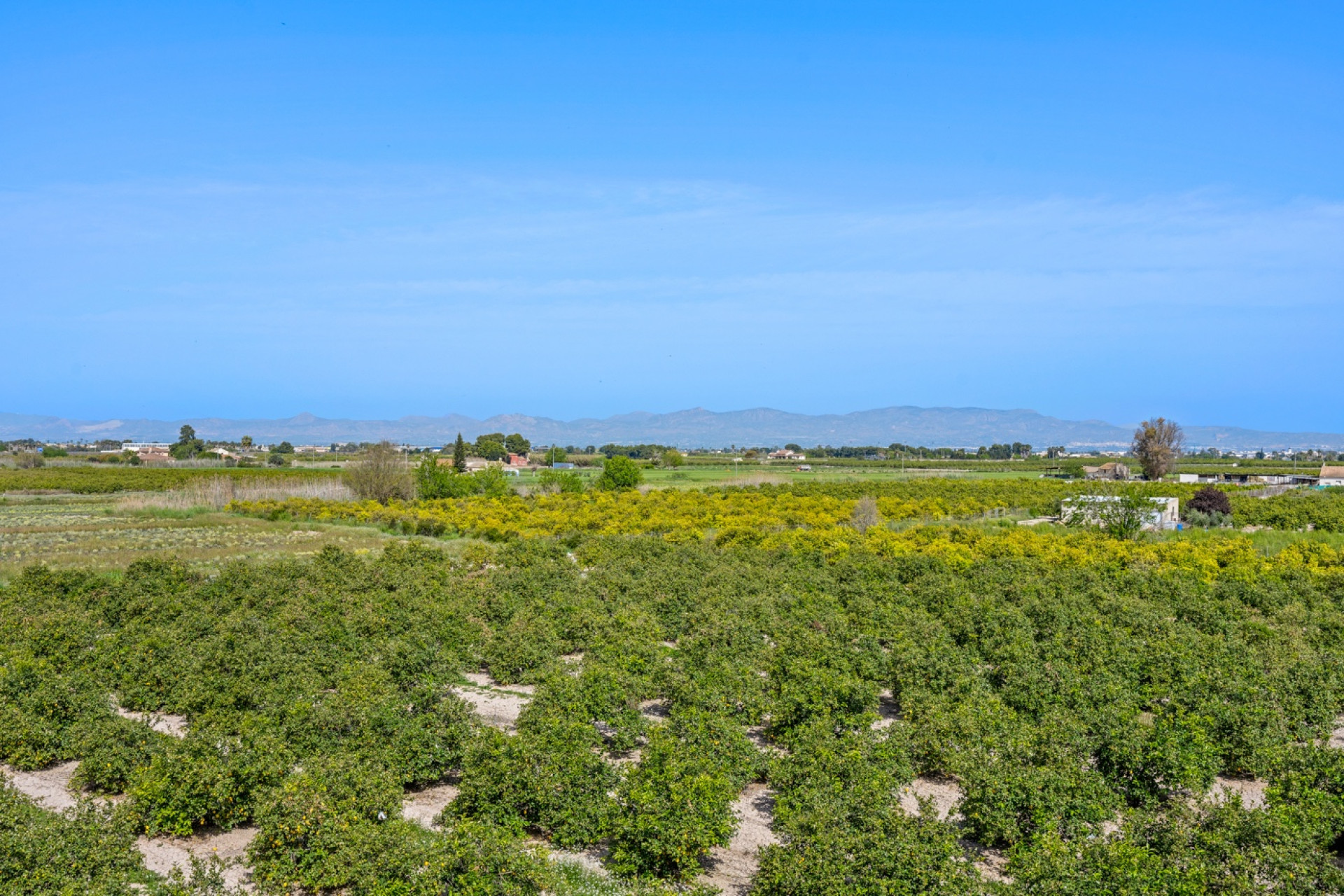 Resale - Apartment / Flat - Daya Nueva - Costa Blanca South