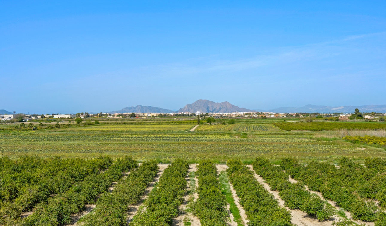 Resale - Apartment / Flat - Daya Nueva - Costa Blanca South