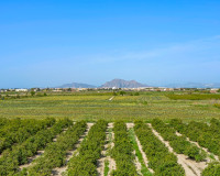 Resale - Apartment / Flat - Daya Nueva - Costa Blanca South