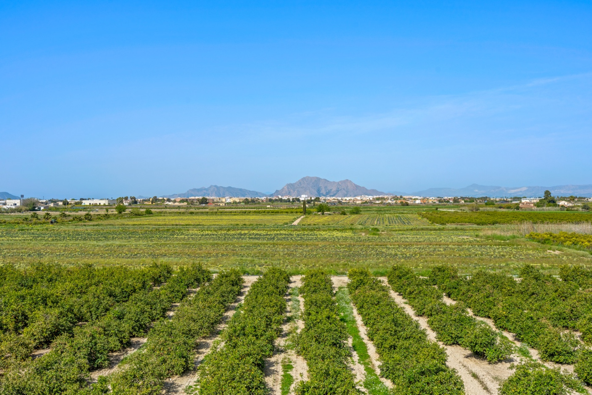 Resale - Apartment / Flat - Daya Nueva - Costa Blanca South