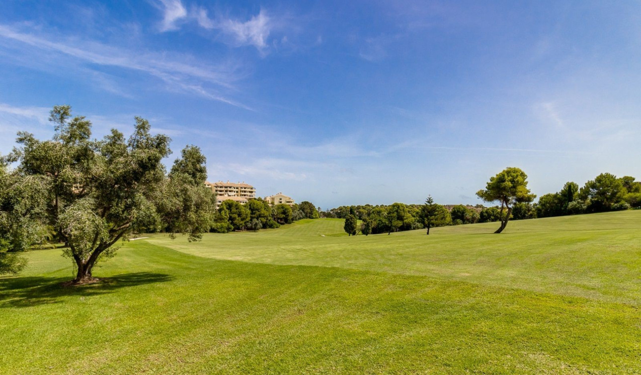 Resale - Apartment / Flat - Dehesa de Campoamor - Campoamor