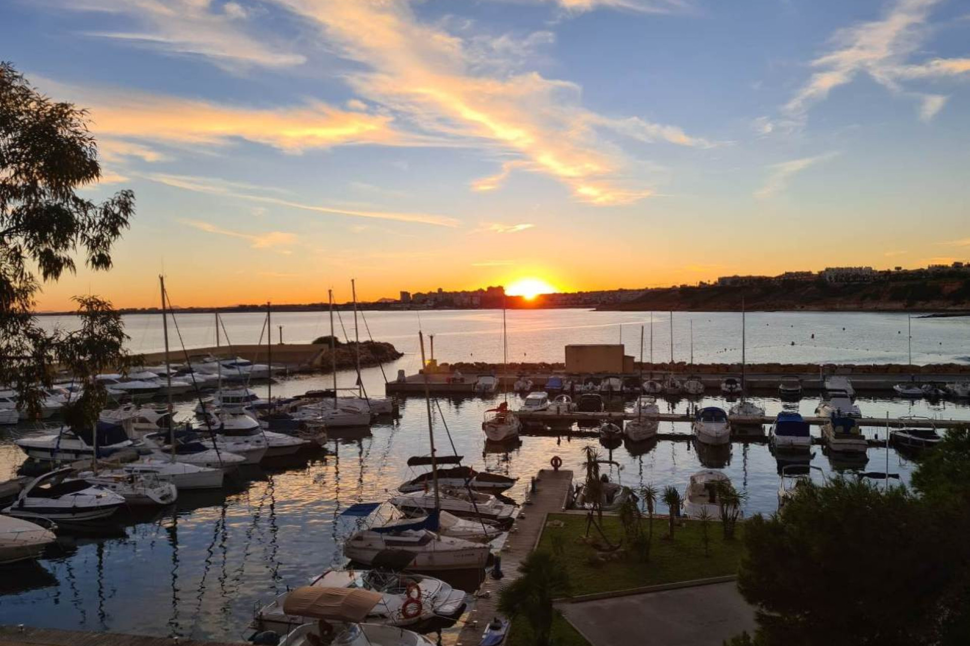 Resale - Apartment / Flat - Dehesa de Campoamor - Campoamor