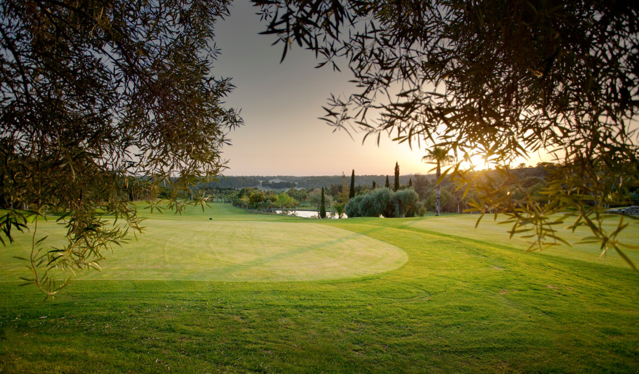 Resale - Apartment / Flat - Dehesa de Campoamor - Campoamor
