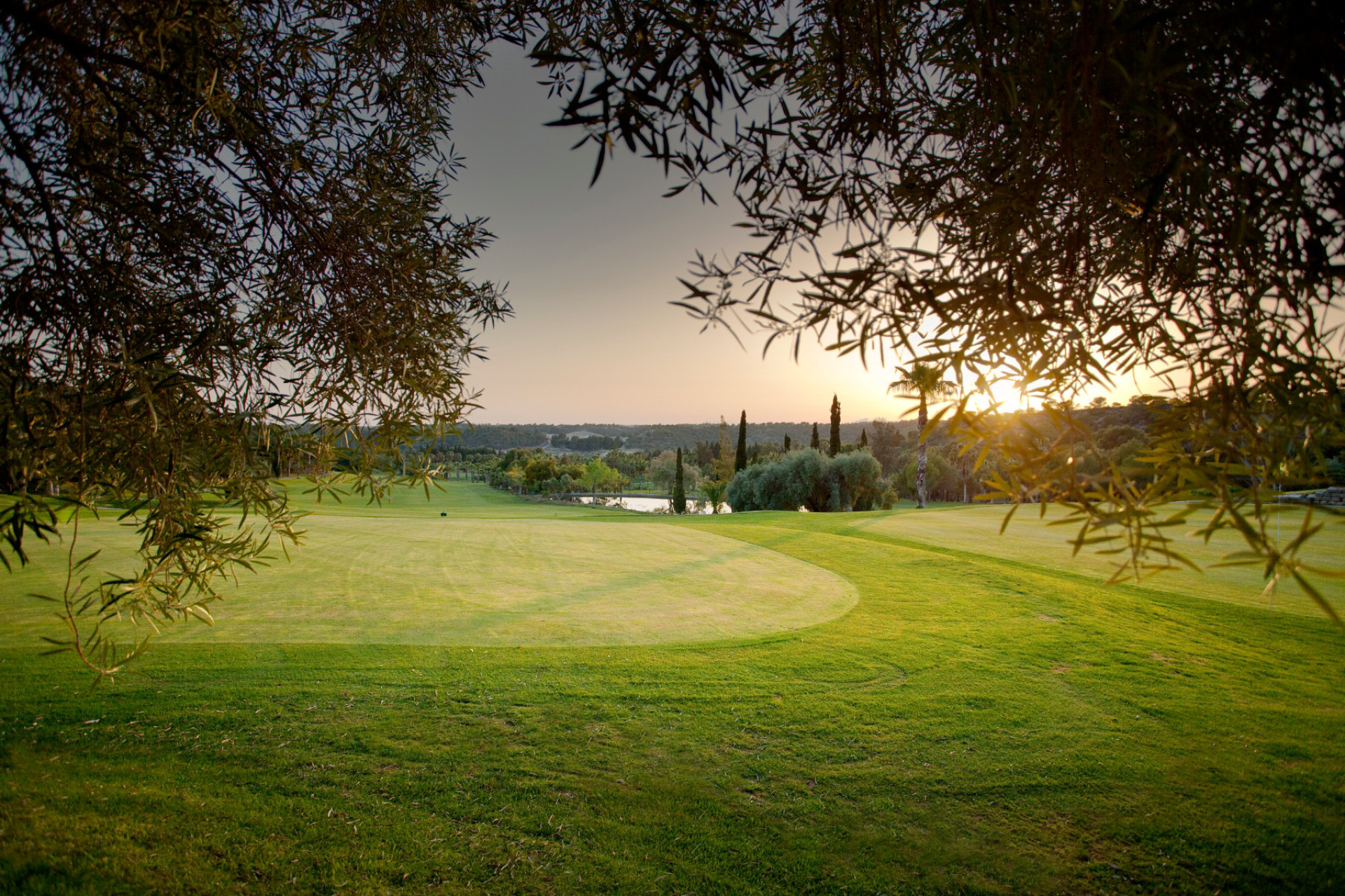 Resale - Apartment / Flat - Dehesa de Campoamor - Campoamor