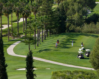 Resale - Apartment / Flat - Dehesa de Campoamor - Campoamor