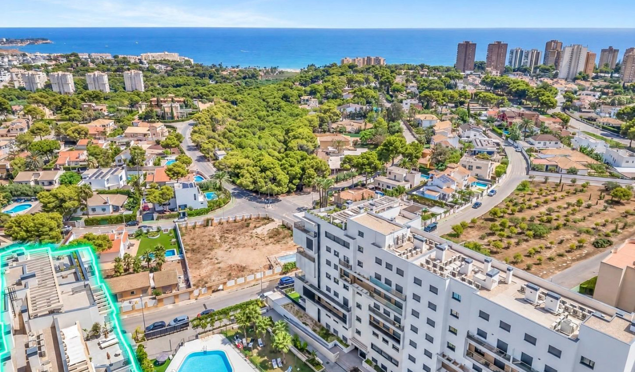 Resale - Apartment / Flat - Dehesa de Campoamor - Campoamor